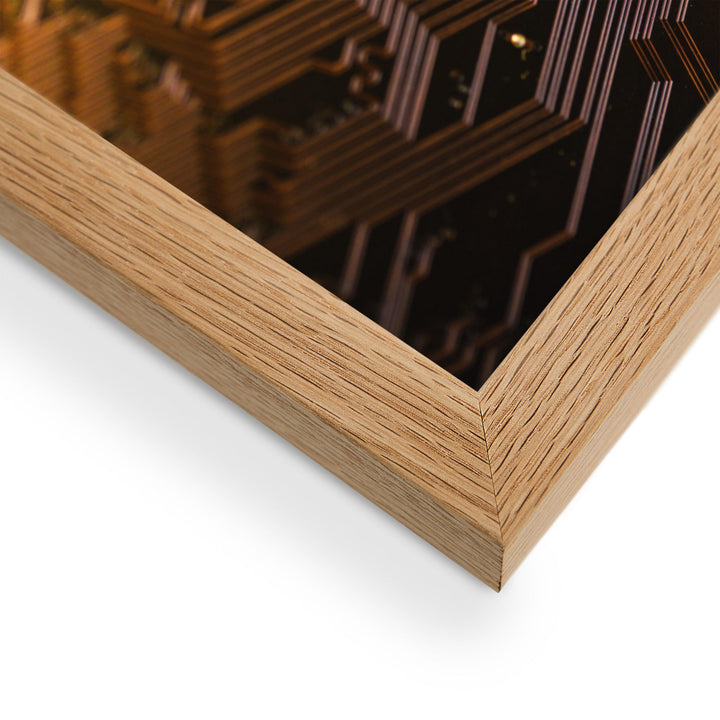 Poster - Bitcoin Gold-1