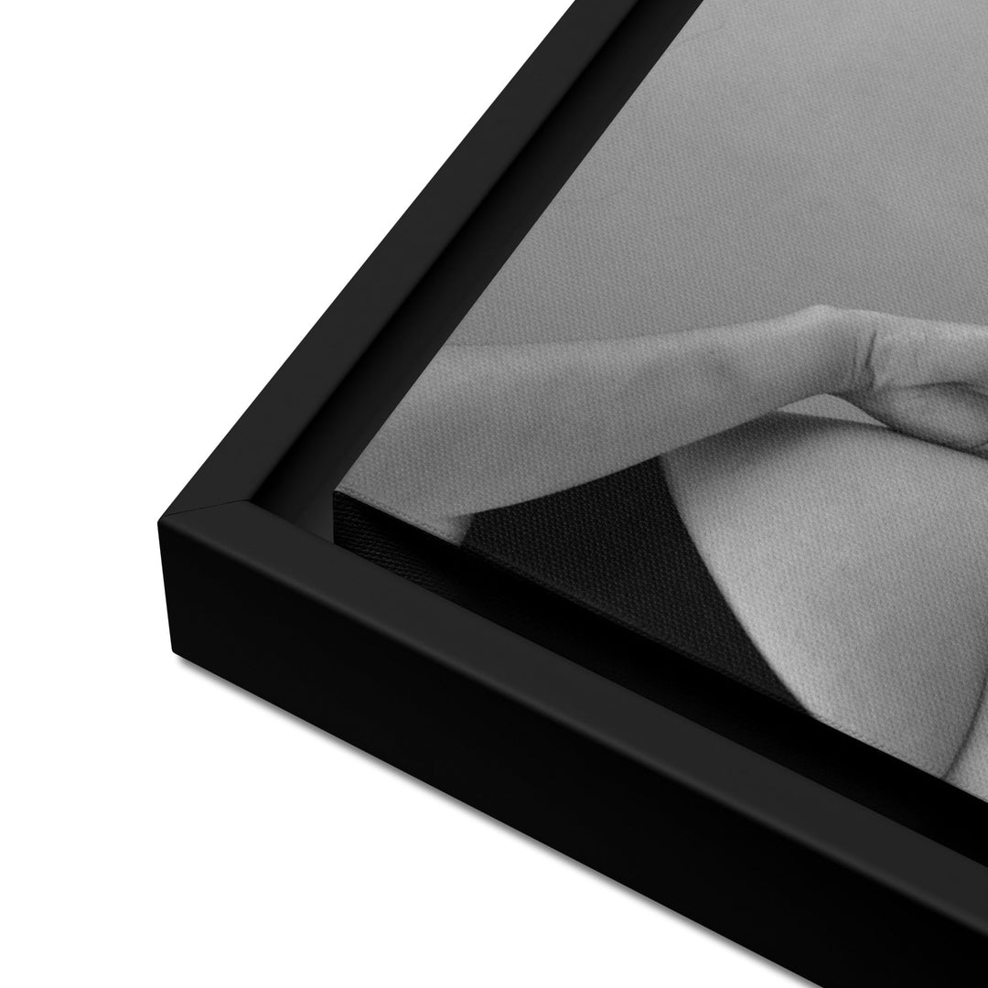 Leinwand - Ballettschuhe artlia