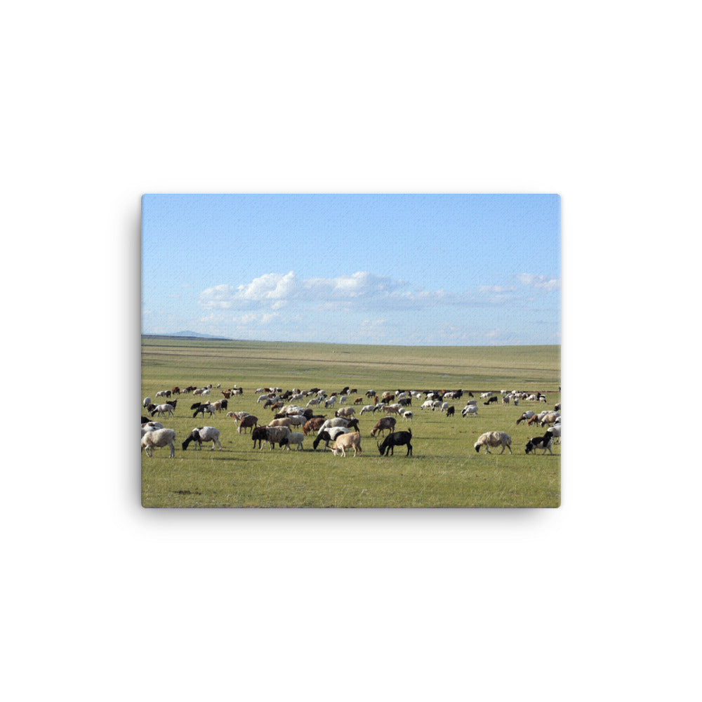 Leinwand - Herd of sheep graze in Mongolian steppe 30x41 cm artlia