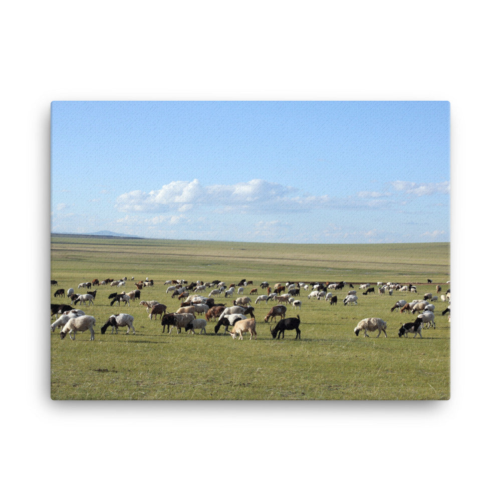 Leinwand - Herd of sheep graze in Mongolian steppe 46x61 cm artlia