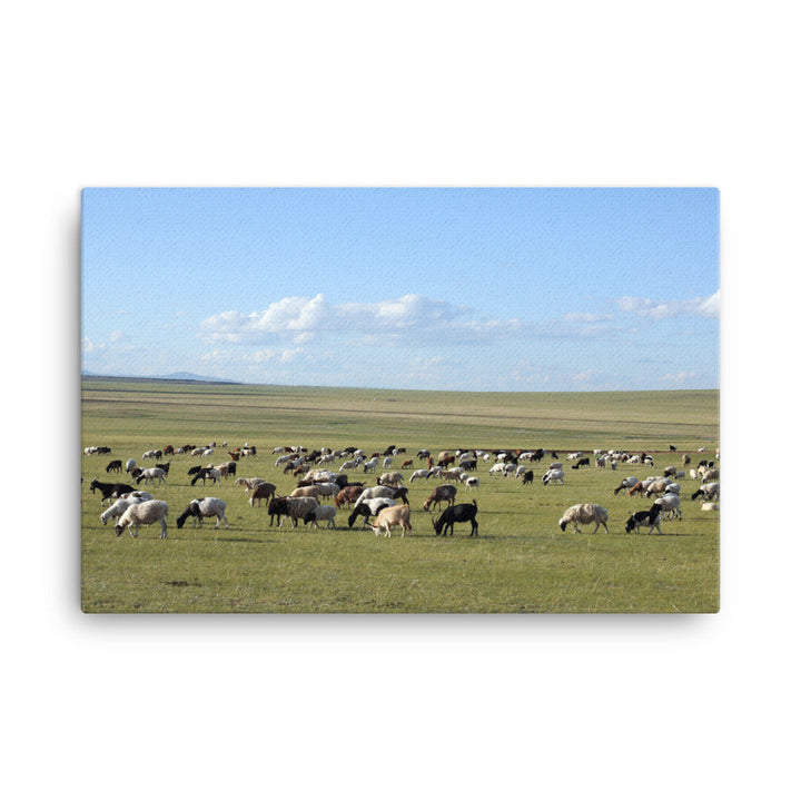 Leinwand - Herd of sheep graze in Mongolian steppe 61x91 cm artlia