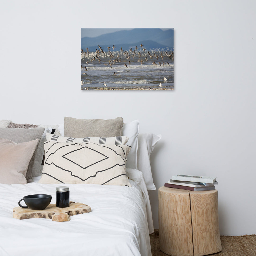Leinwand - Shorebirds artlia