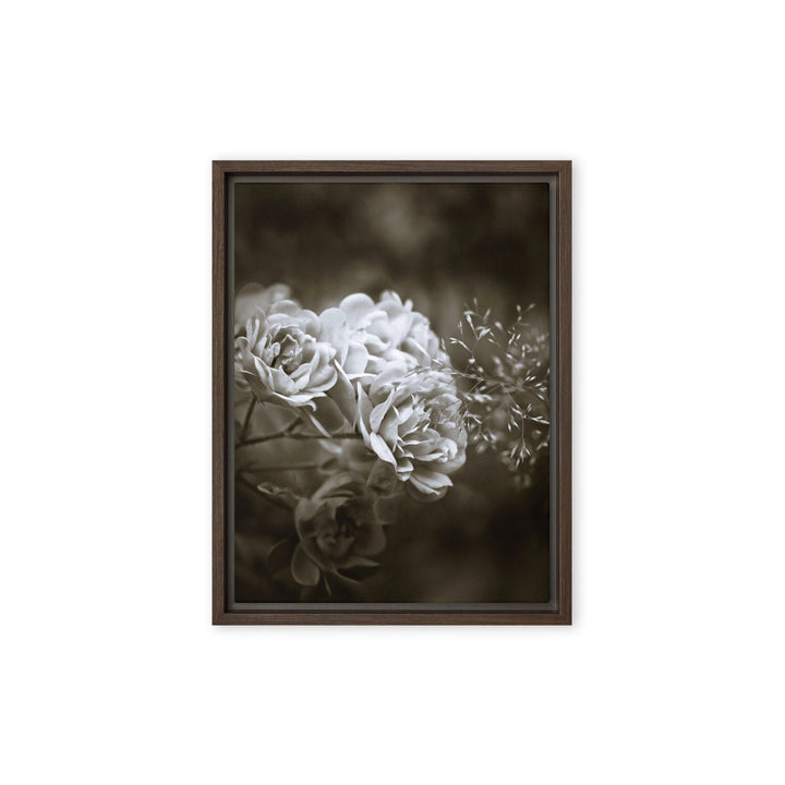 Leinwand - Weiße Pfingstrosen Braun / 31x41 cm (12″×16″) artlia