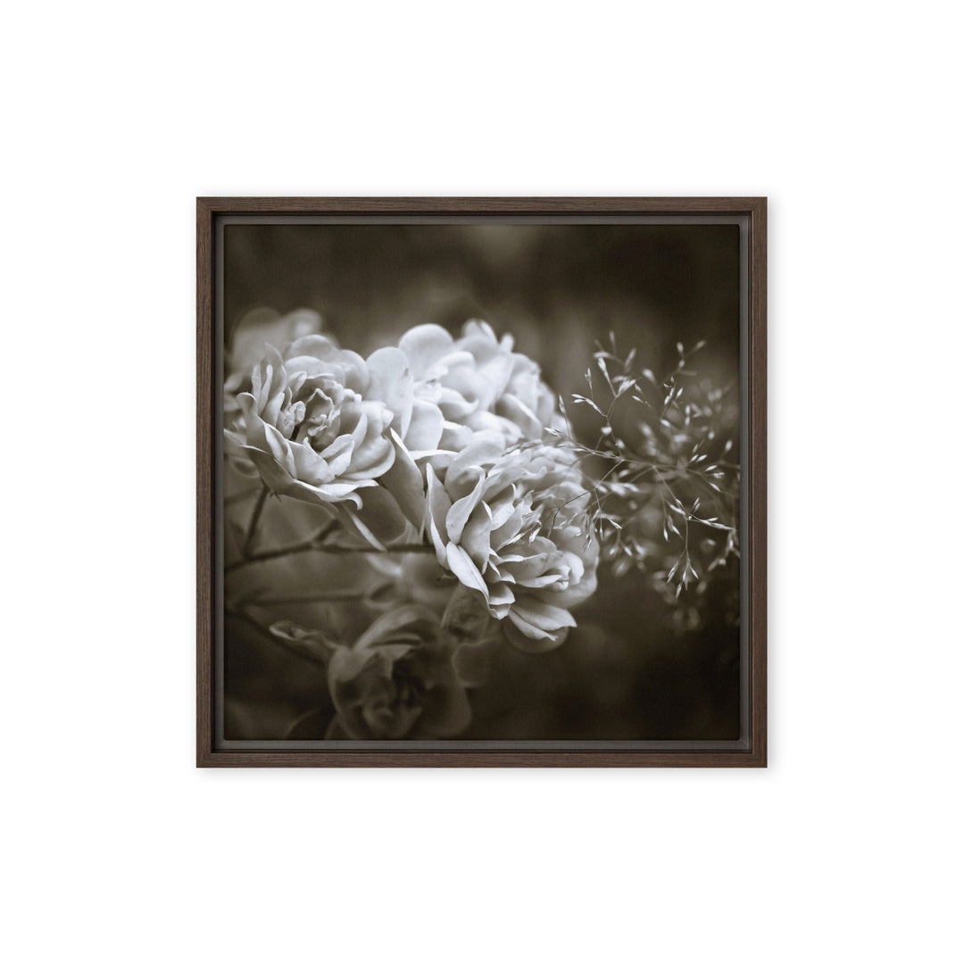 Leinwand - Weiße Pfingstrosen Braun / 41x41 cm (16″×16″) artlia