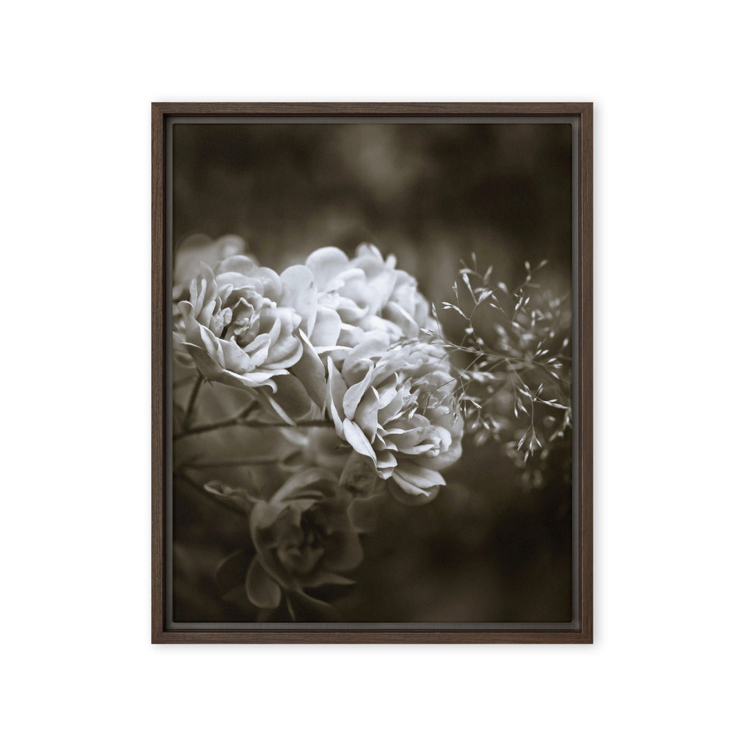 Leinwand - Weiße Pfingstrosen Braun / 41x51 cm (16″×20″) artlia