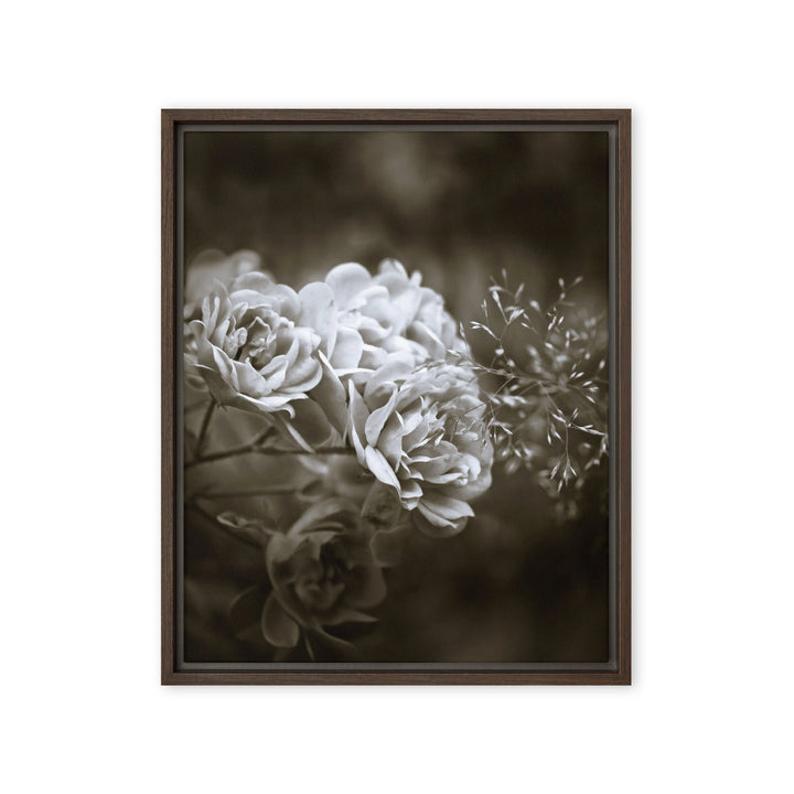Leinwand - Weiße Pfingstrosen Braun / 41x51 cm (16″×20″) artlia