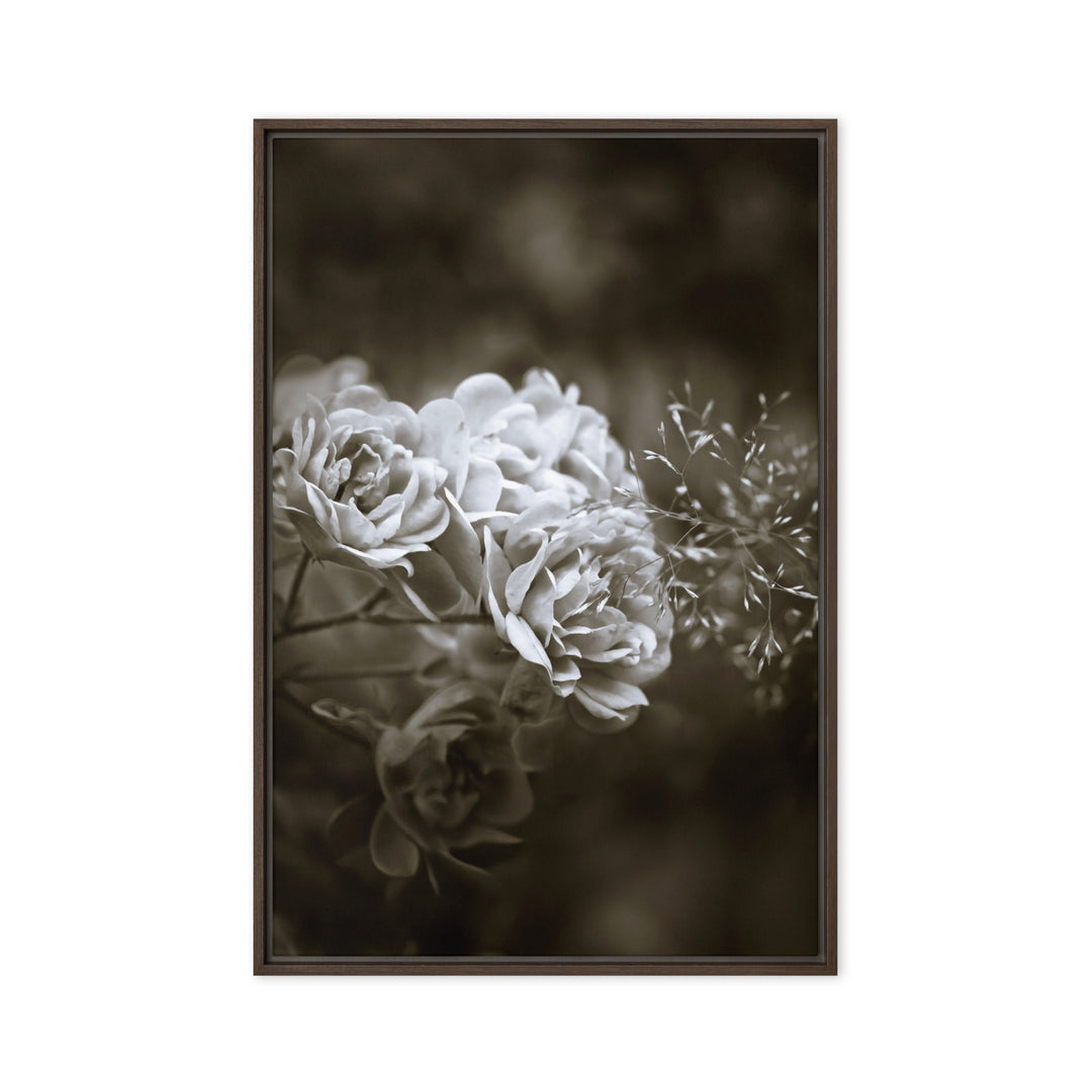 Leinwand - Weiße Pfingstrosen Braun / 61x91 cm (24″×36″) artlia