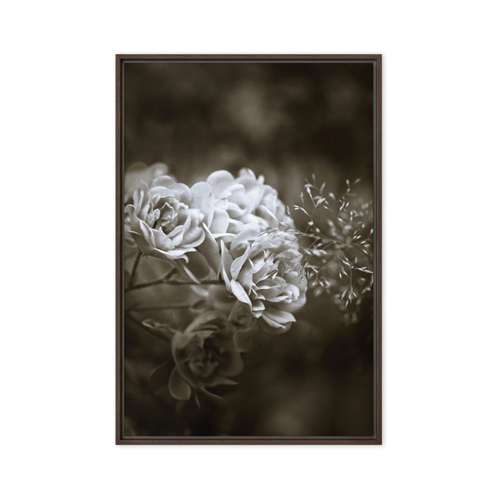Leinwand - Weiße Pfingstrosen Braun / 61x91 cm (24″×36″) artlia