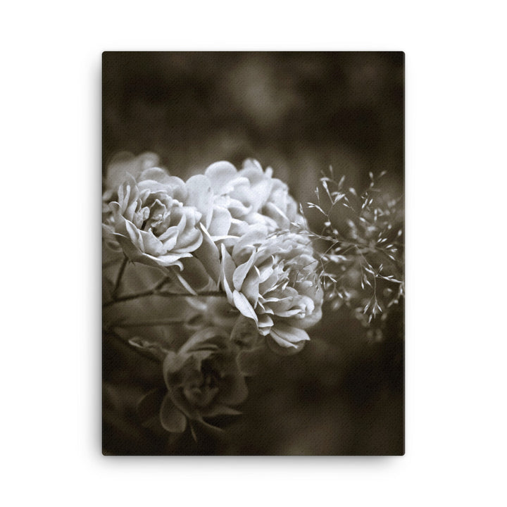 Leinwand - Weiße Pfingstrosen ohne Rahmen / 31x41 cm (12″×16″) artlia
