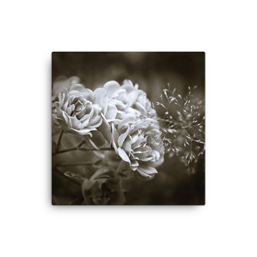 Leinwand - Weiße Pfingstrosen ohne Rahmen / 41x41 cm (16″×16″) artlia
