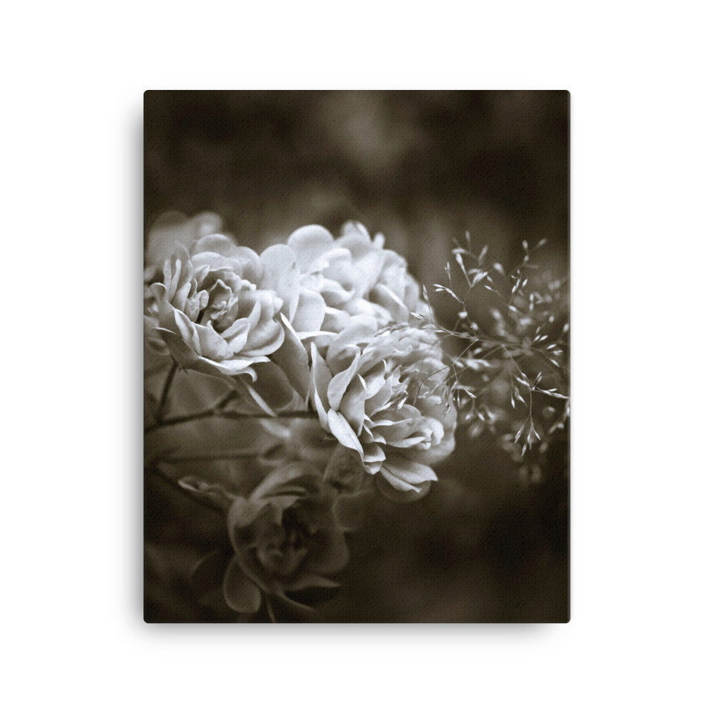 Leinwand - Weiße Pfingstrosen ohne Rahmen / 41x51 cm (16″×20″) artlia
