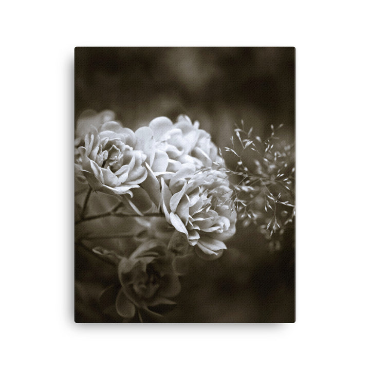 Leinwand - Weiße Pfingstrosen ohne Rahmen / 41x51 cm (16″×20″) artlia