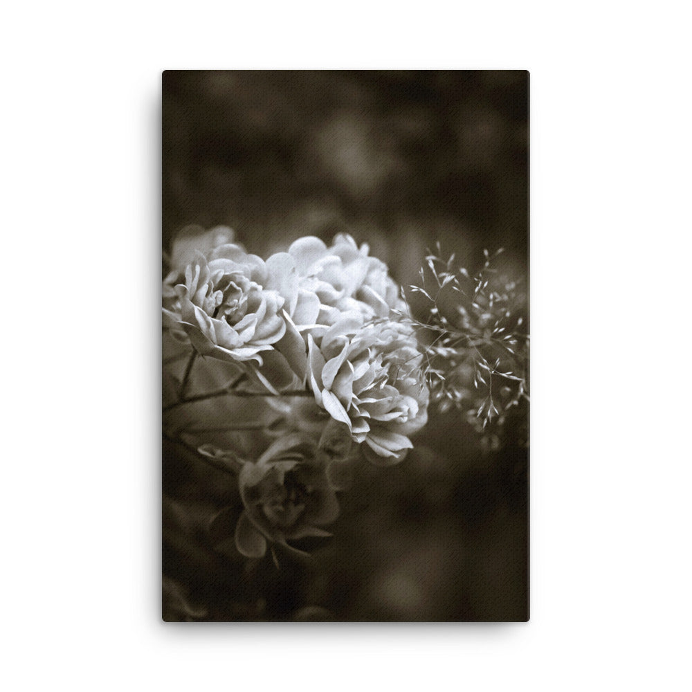 Leinwand - Weiße Pfingstrosen ohne Rahmen / 61x91 cm (24″×36″) artlia