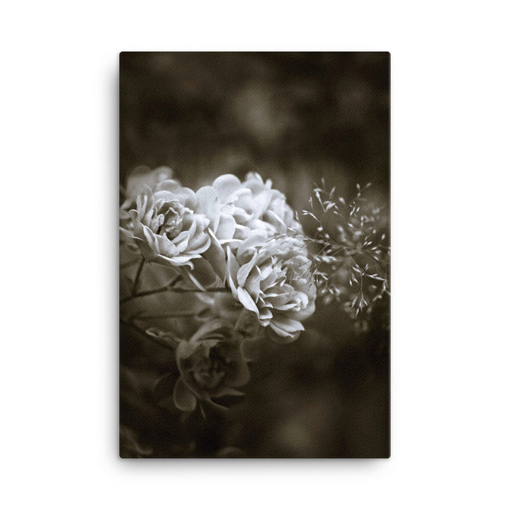 Leinwand - Weiße Pfingstrosen ohne Rahmen / 61x91 cm (24″×36″) artlia