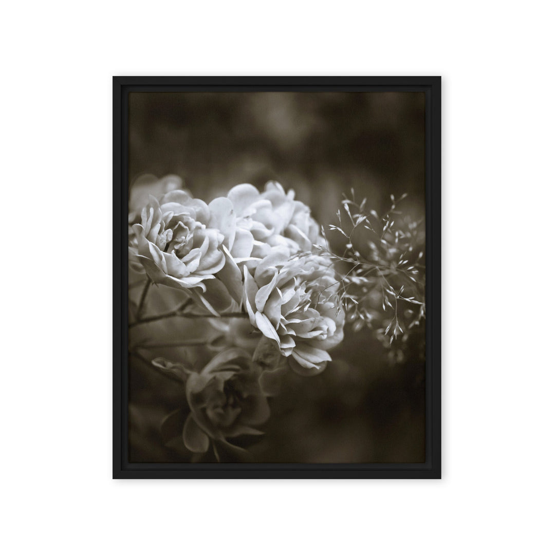 Leinwand - Weiße Pfingstrosen Schwarz / 41x51 cm (16″×20″) artlia
