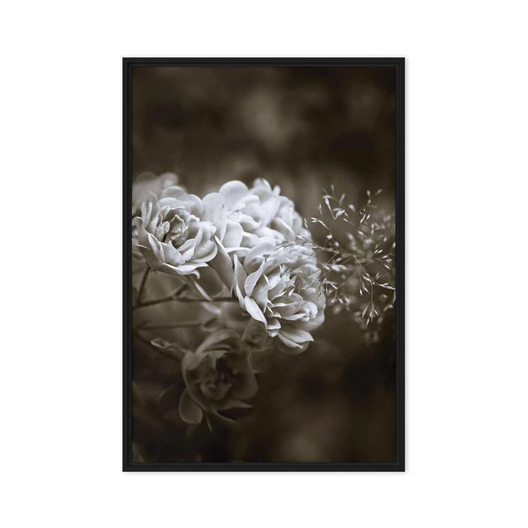 Leinwand - Weiße Pfingstrosen Schwarz / 61x91 cm (24″×36″) artlia