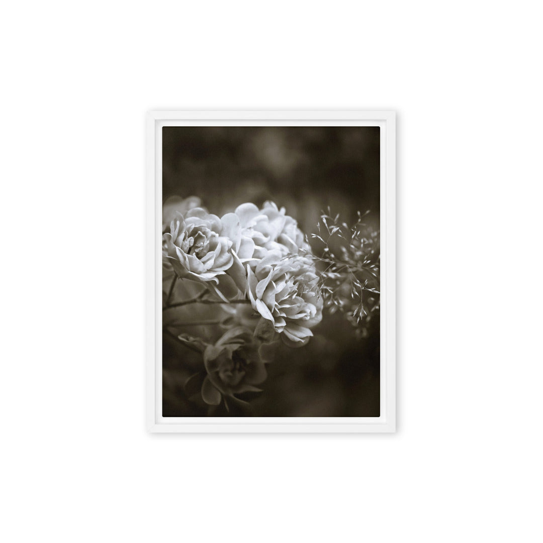 Leinwand - Weiße Pfingstrosen Weiß / 31x41 cm (12″×16″) artlia
