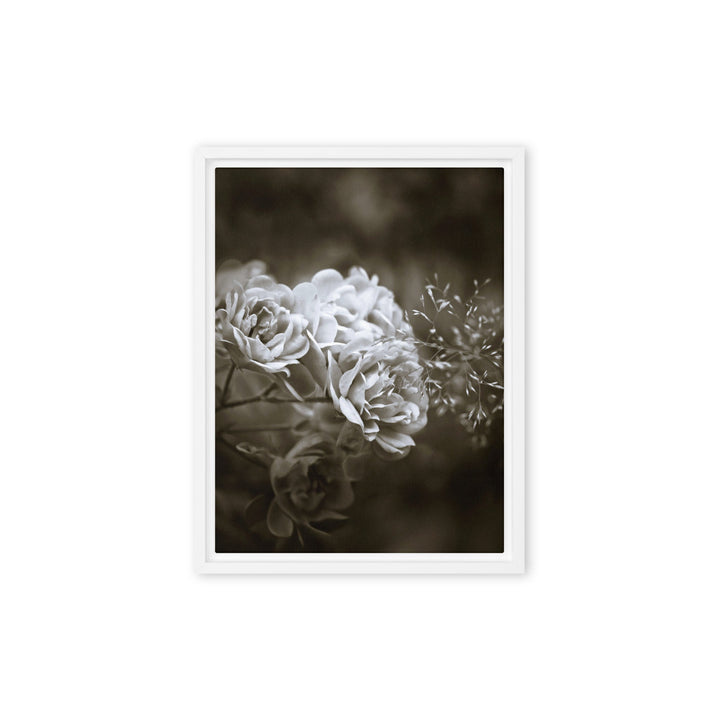 Leinwand - Weiße Pfingstrosen Weiß / 31x41 cm (12″×16″) artlia