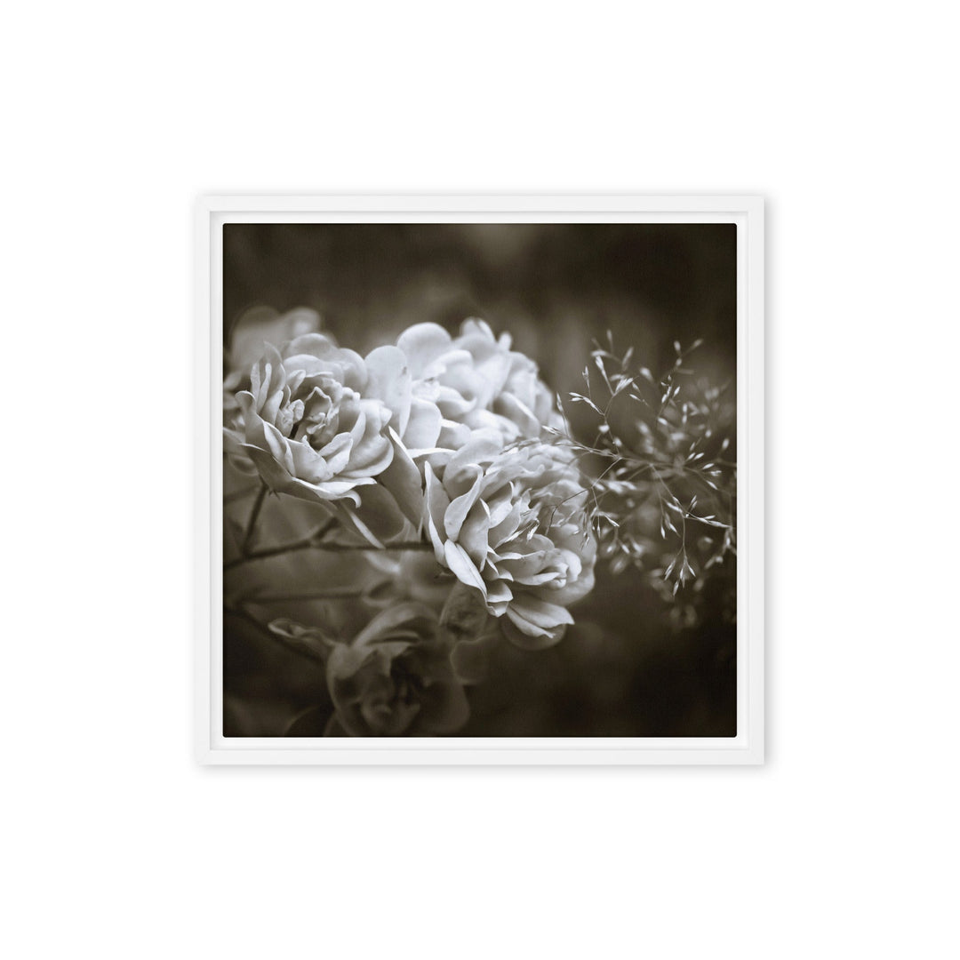 Leinwand - Weiße Pfingstrosen Weiß / 41x41 cm (16″×16″) artlia