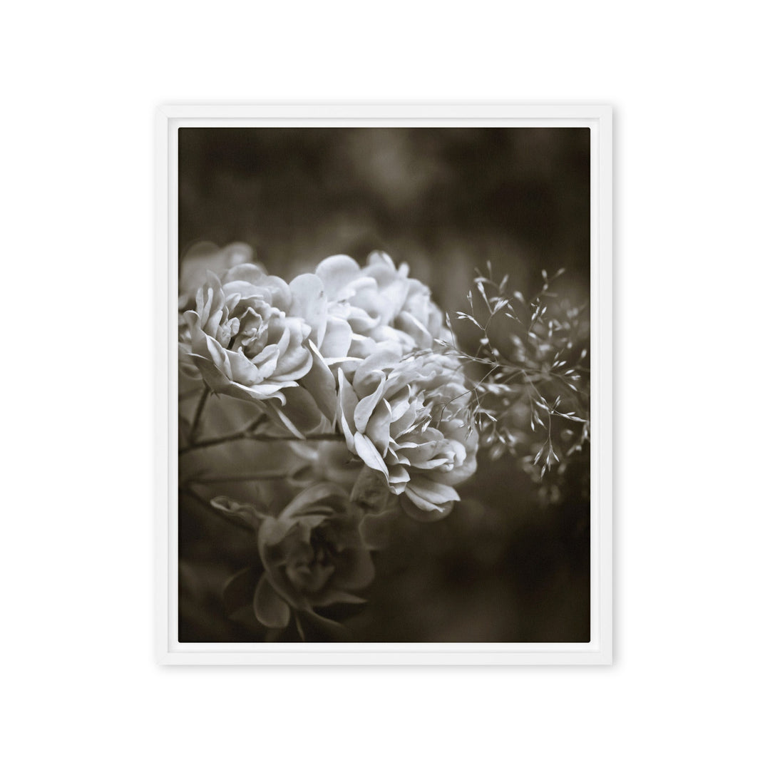 Leinwand - Weiße Pfingstrosen Weiß / 41x51 cm (16″×20″) artlia