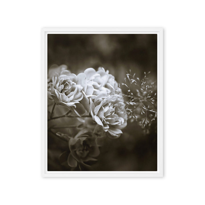 Leinwand - Weiße Pfingstrosen Weiß / 41x51 cm (16″×20″) artlia