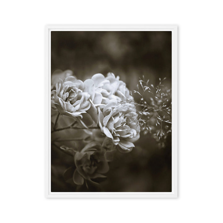 Leinwand - Weiße Pfingstrosen Weiß / 46x61 cm (18″×24″) artlia
