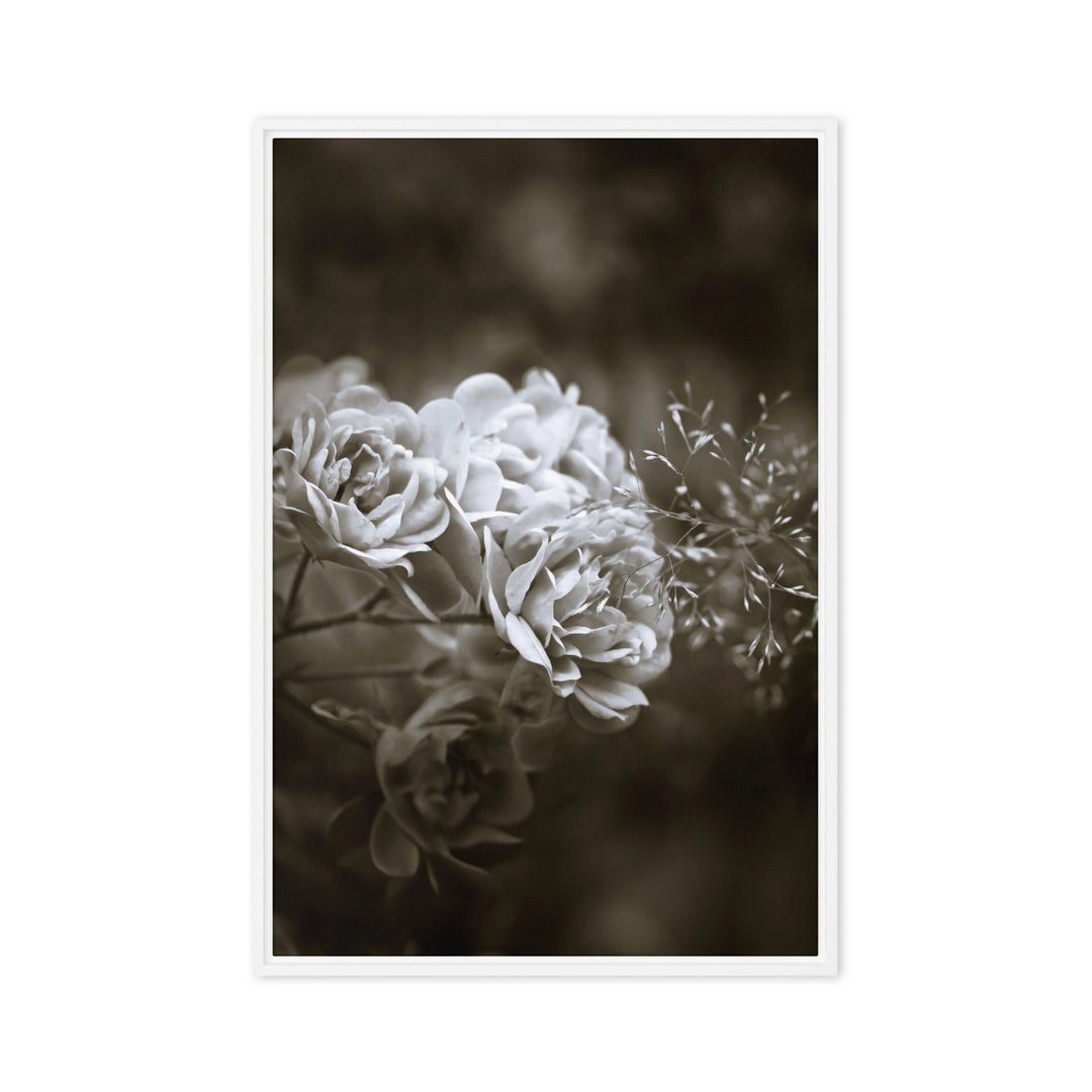Leinwand - Weiße Pfingstrosen Weiß / 61x91 cm (24″×36″) artlia