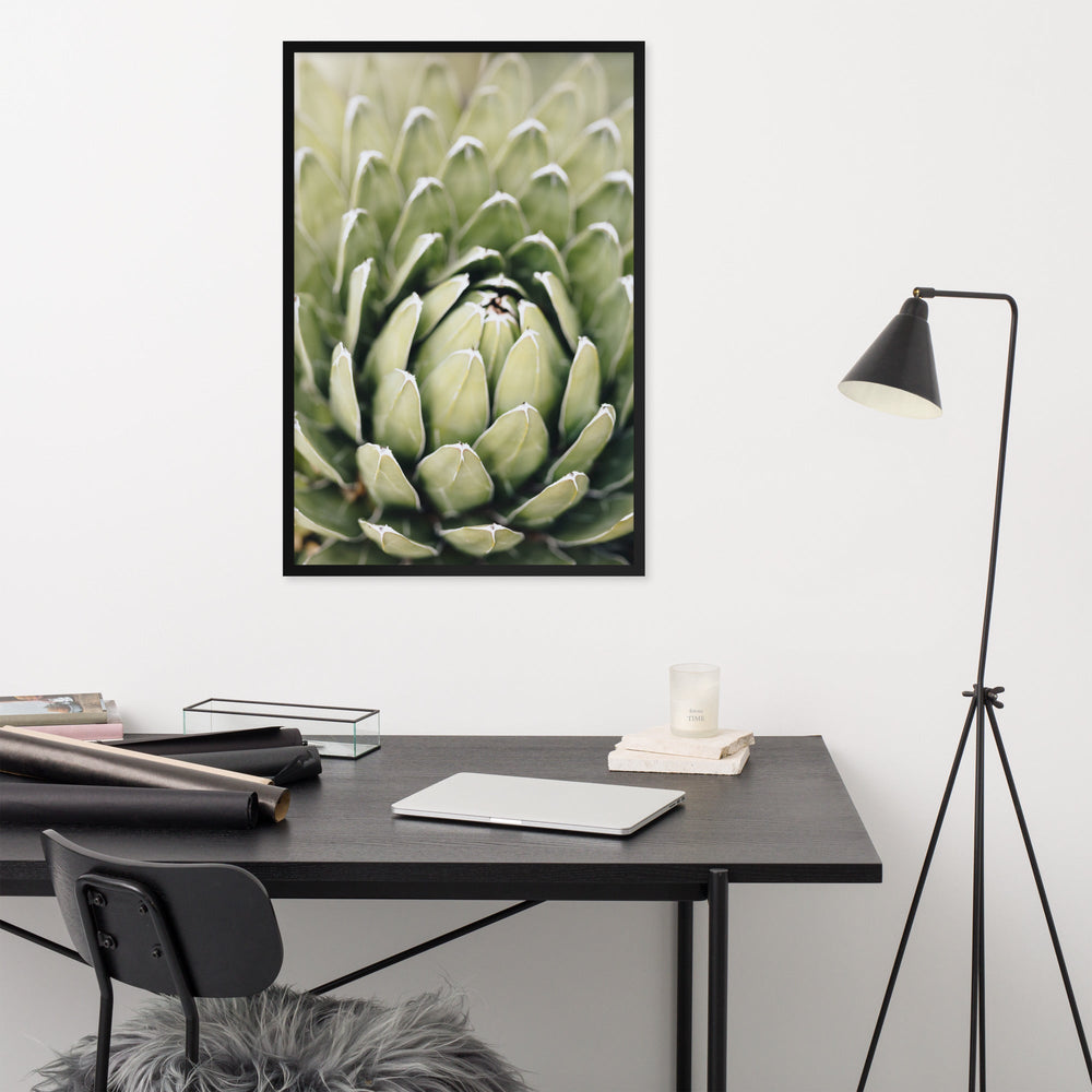Poster - Cactus Flower II artlia