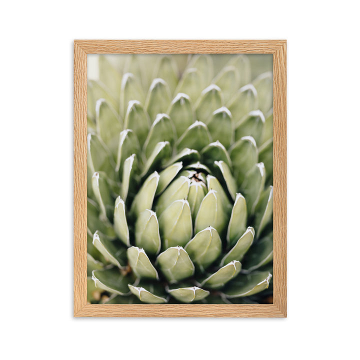 Poster - Cactus Flower II Oak / 30×40 cm artlia