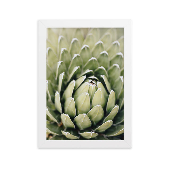 Poster - Cactus Flower II Weiß / 21×30 cm artlia