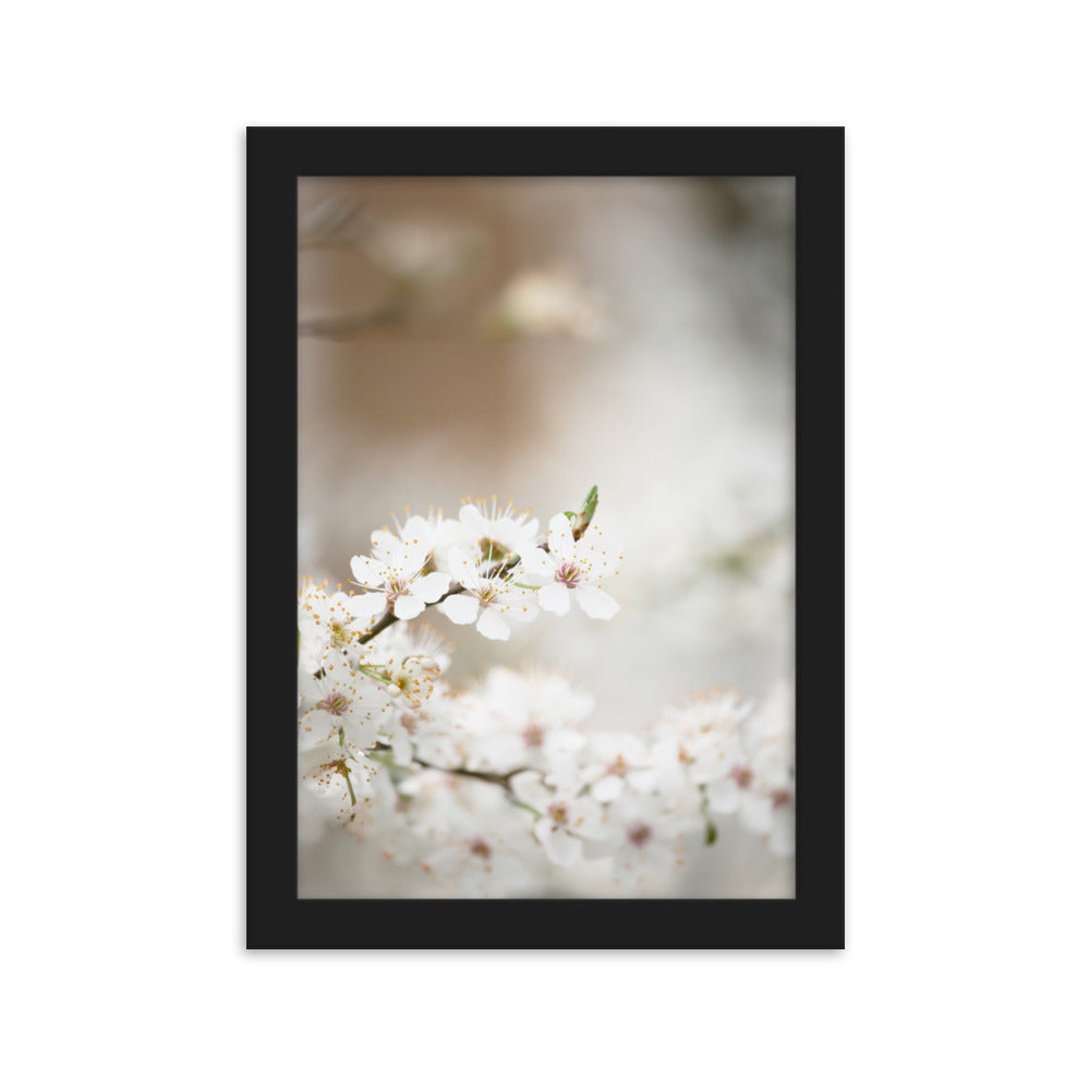 Poster - Kirschblüten Schwarz / 21×30 cm artlia