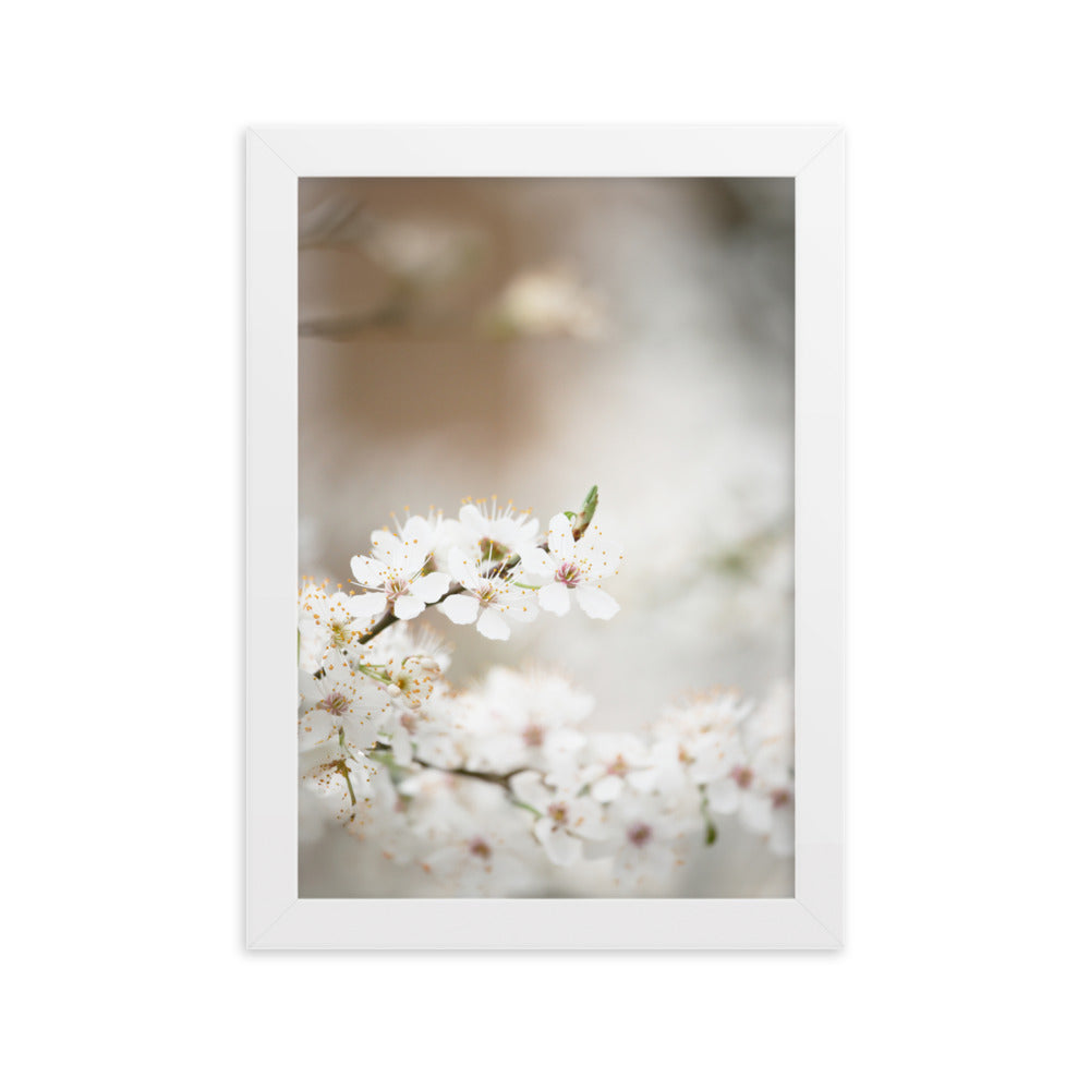 Poster - Kirschblüten Weiß / 21×30 cm artlia