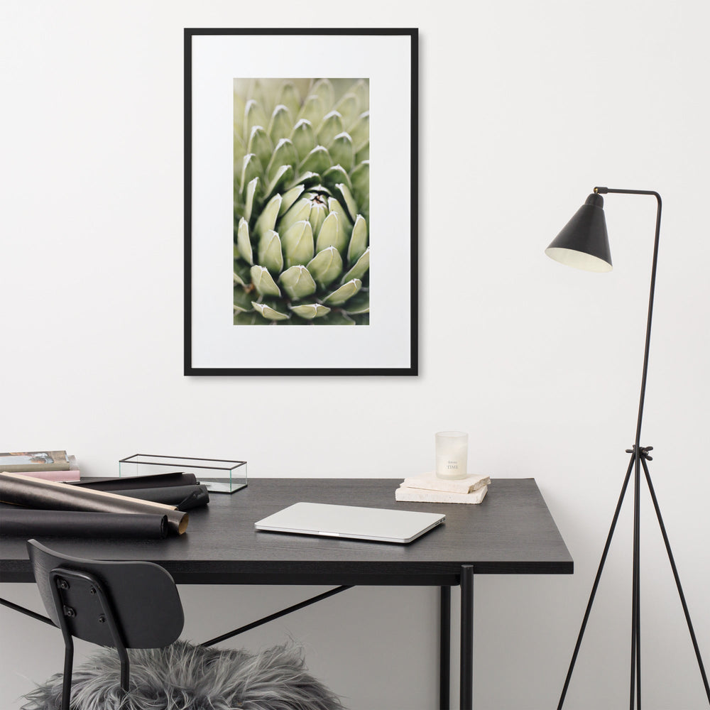 Poster mit Passepartout - Cactus Flower II artlia