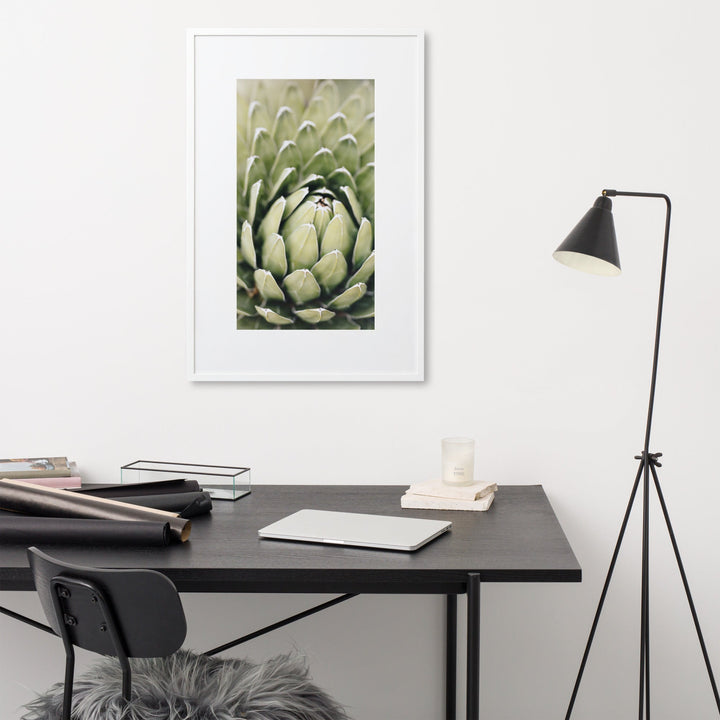 Poster mit Passepartout - Cactus Flower II artlia