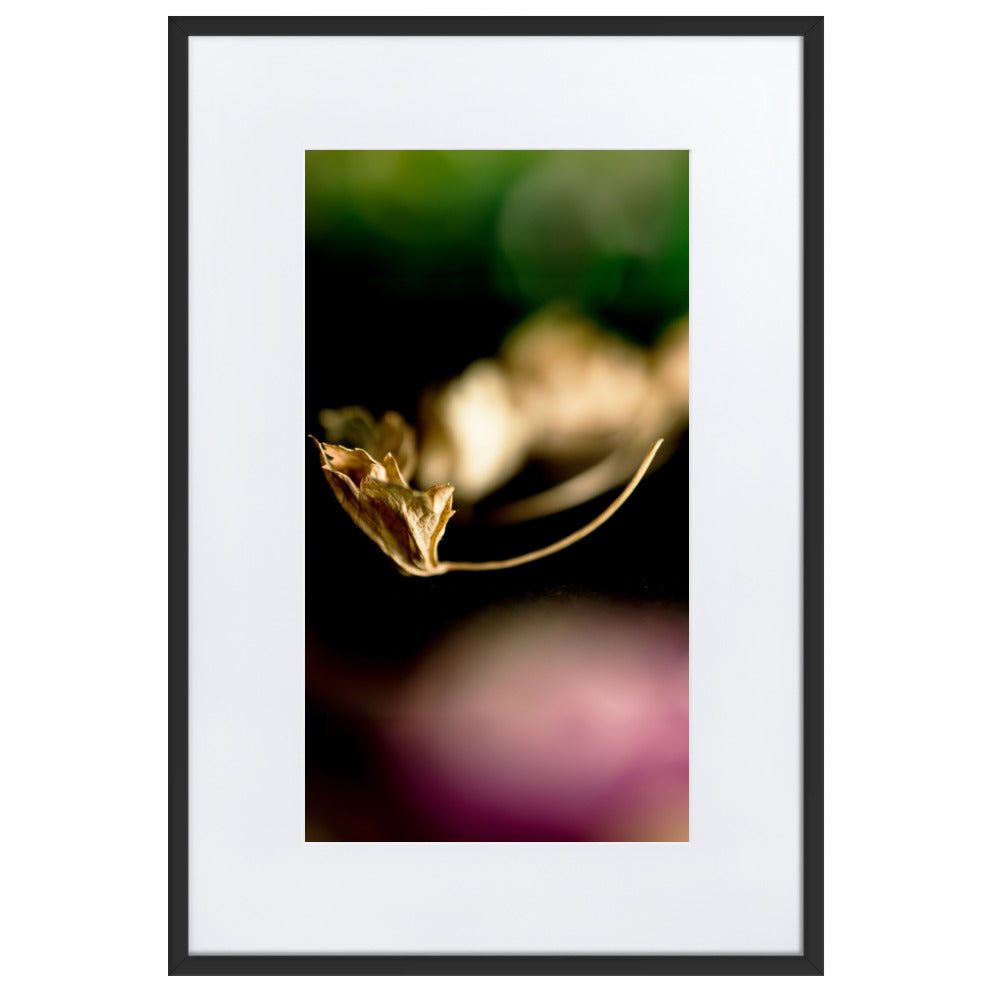 Poster mit Passepartout - Falling Leaf Schwarz / 61×91 cm artlia