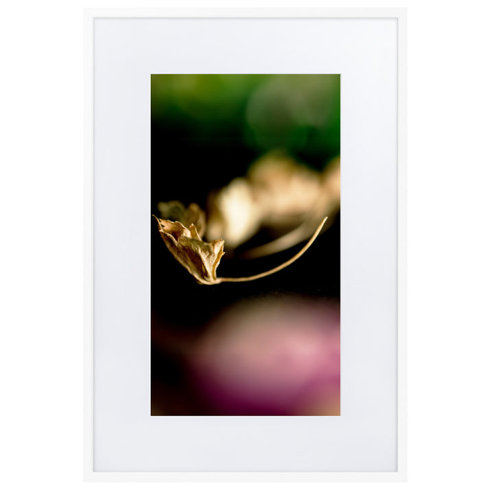 Poster mit Passepartout - Falling Leaf Weiß / 61×91 cm artlia