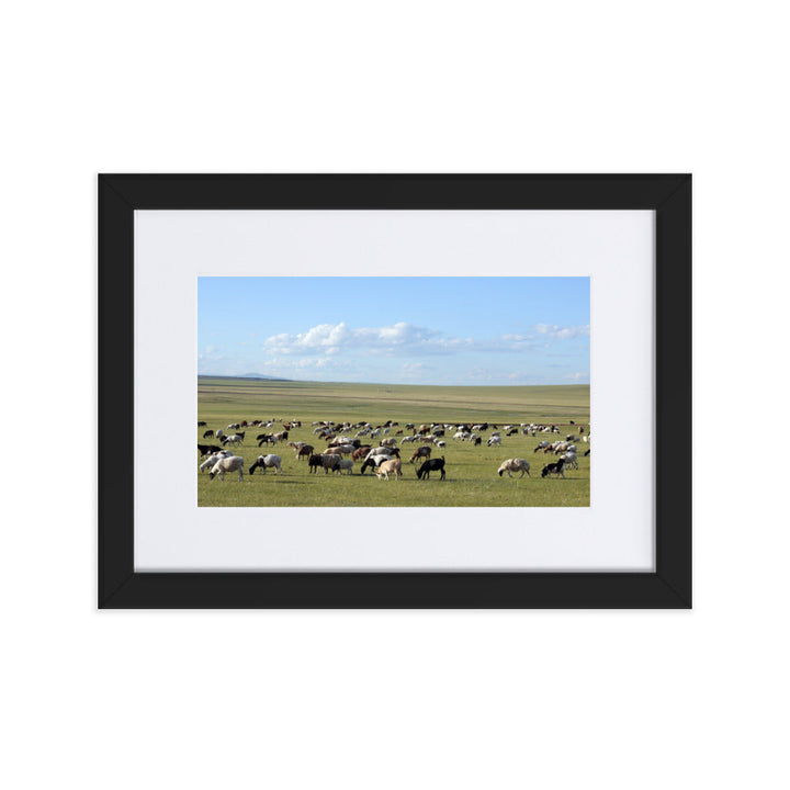 Poster mit Passepartout - Herd of sheep graze in Mongolian steppe Schwarz / 21×30 cm artlia