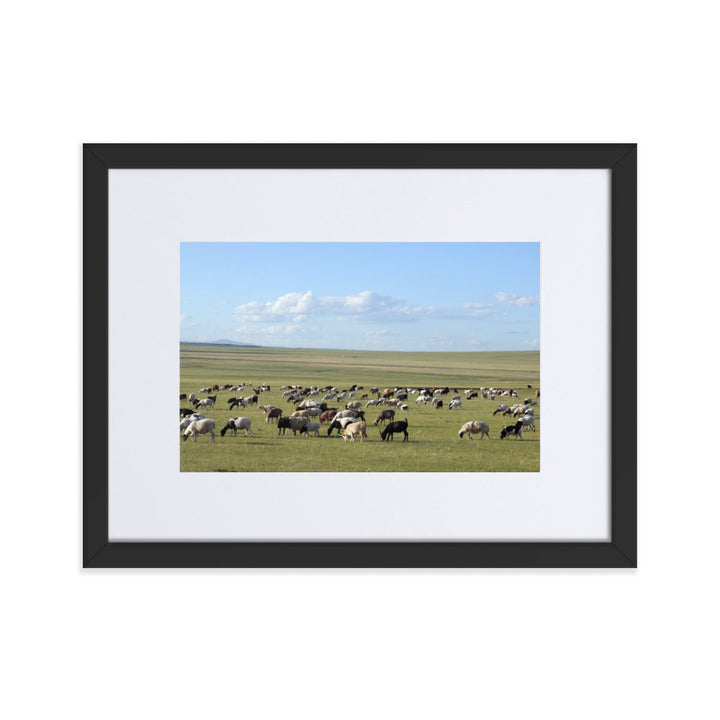 Poster mit Passepartout - Herd of sheep graze in Mongolian steppe Schwarz / 30×40 cm artlia
