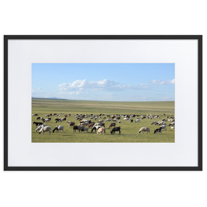 Poster mit Passepartout - Herd of sheep graze in Mongolian steppe Schwarz / 61×91 cm artlia