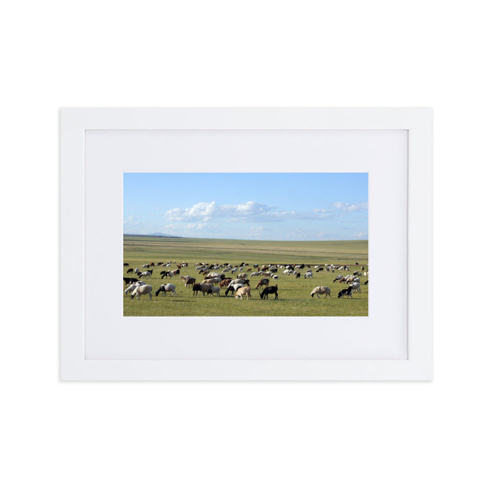 Poster mit Passepartout - Herd of sheep graze in Mongolian steppe Weiß / 21×30 cm artlia