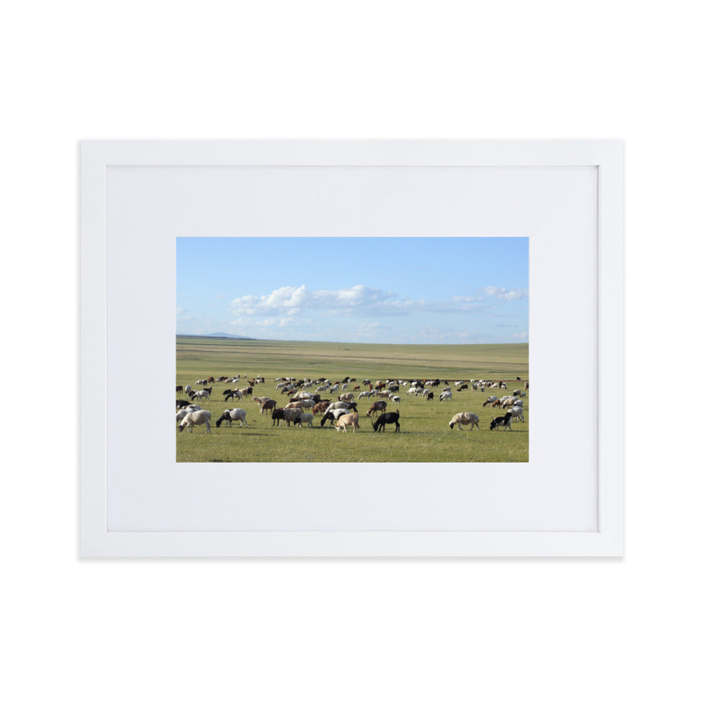 Poster mit Passepartout - Herd of sheep graze in Mongolian steppe Weiß / 30×40 cm artlia
