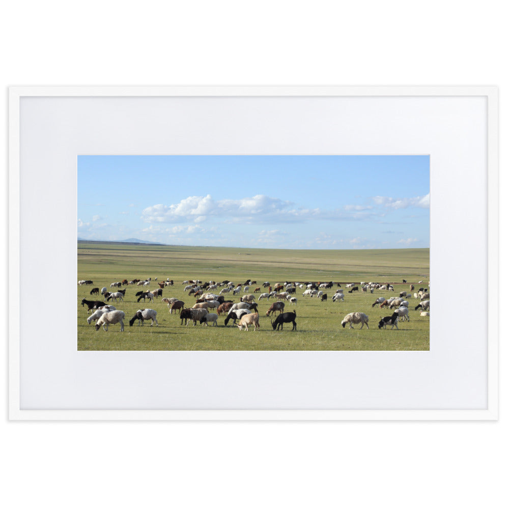 Poster mit Passepartout - Herd of sheep graze in Mongolian steppe Weiß / 61×91 cm artlia