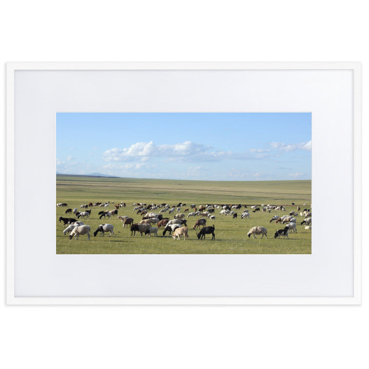 Poster mit Passepartout - Herd of sheep graze in Mongolian steppe Weiß / 61×91 cm artlia