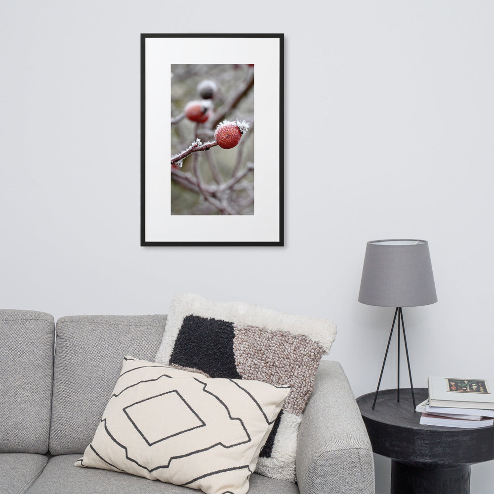 Poster mit Passepartout - Winterbeeren II artlia