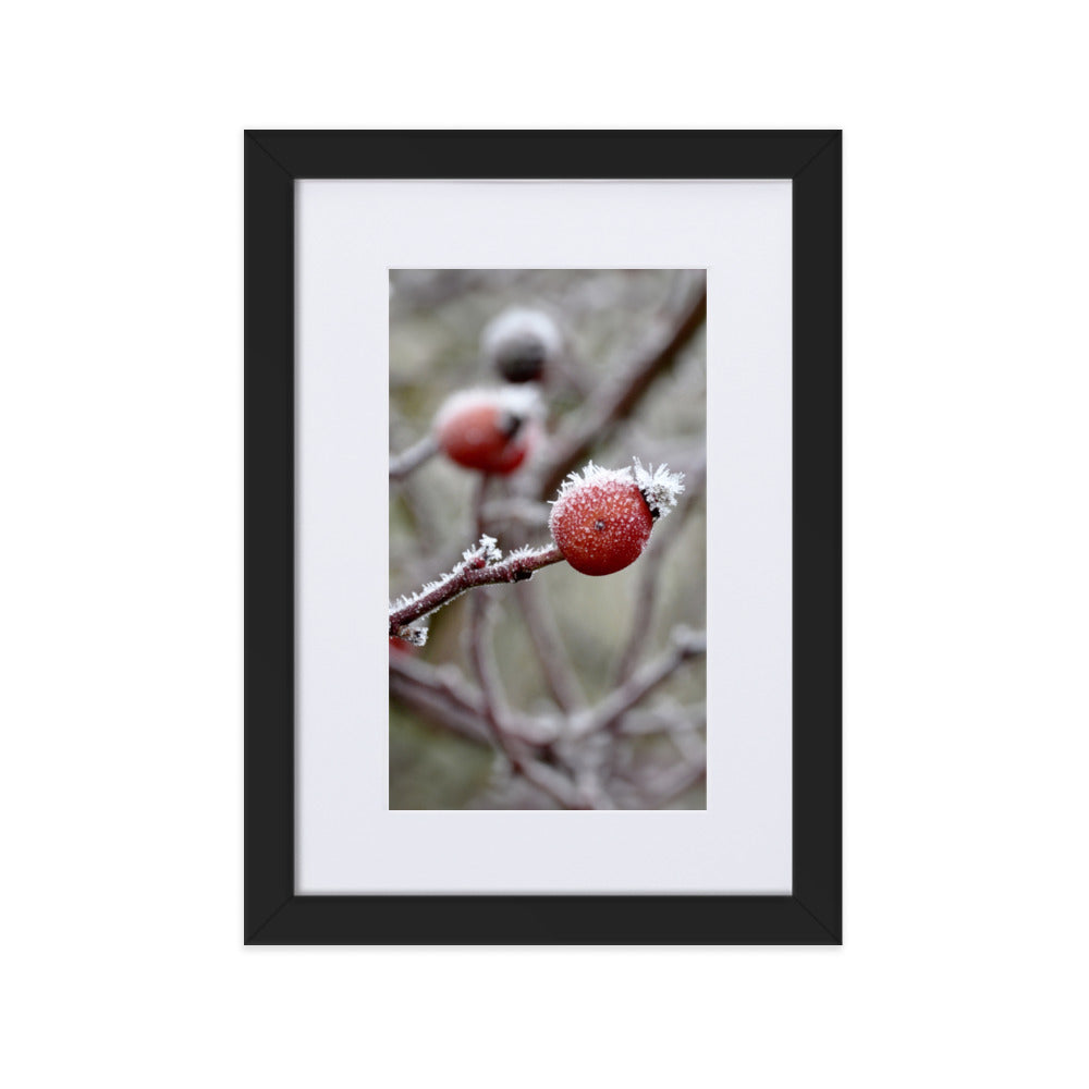 Poster mit Passepartout - Winterbeeren II Schwarz / 21×30 cm artlia