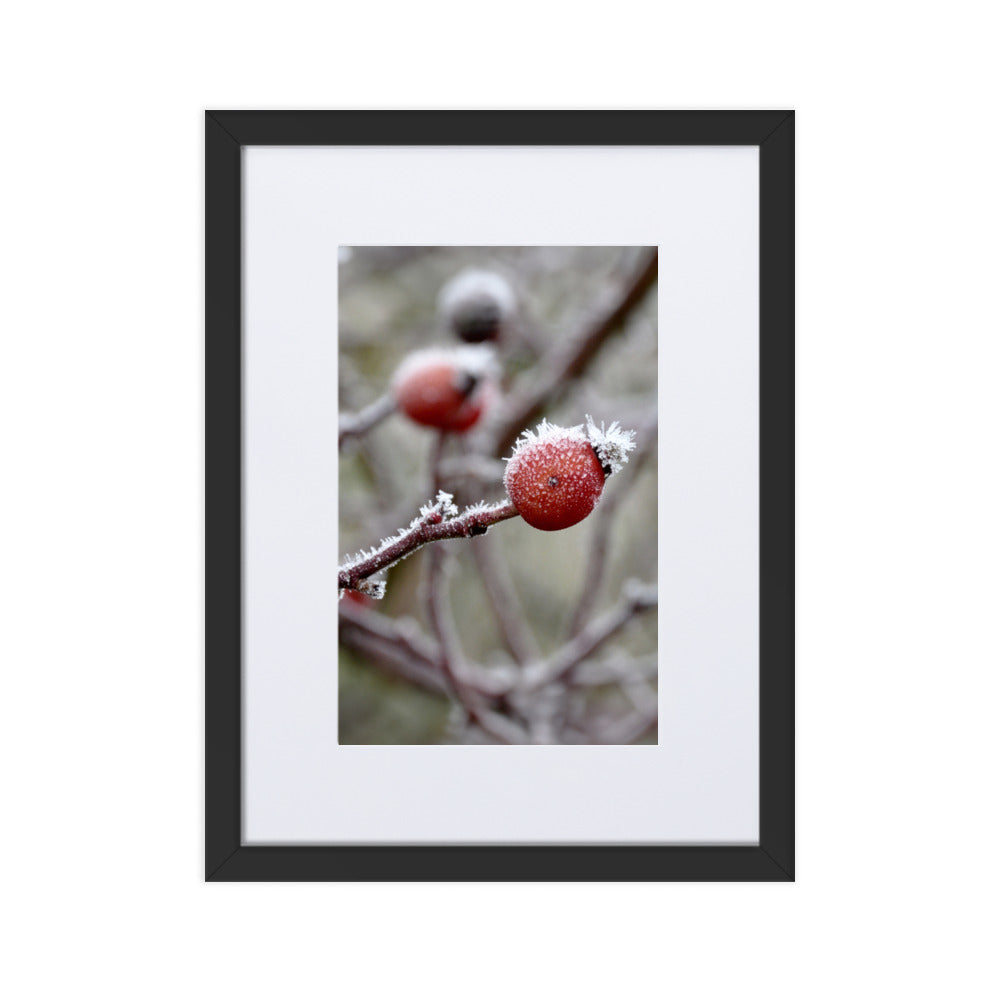 Poster mit Passepartout - Winterbeeren II Schwarz / 30×40 cm artlia