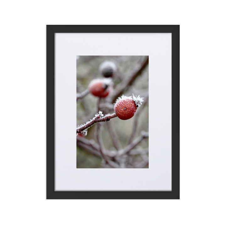Poster mit Passepartout - Winterbeeren II Schwarz / 30×40 cm artlia