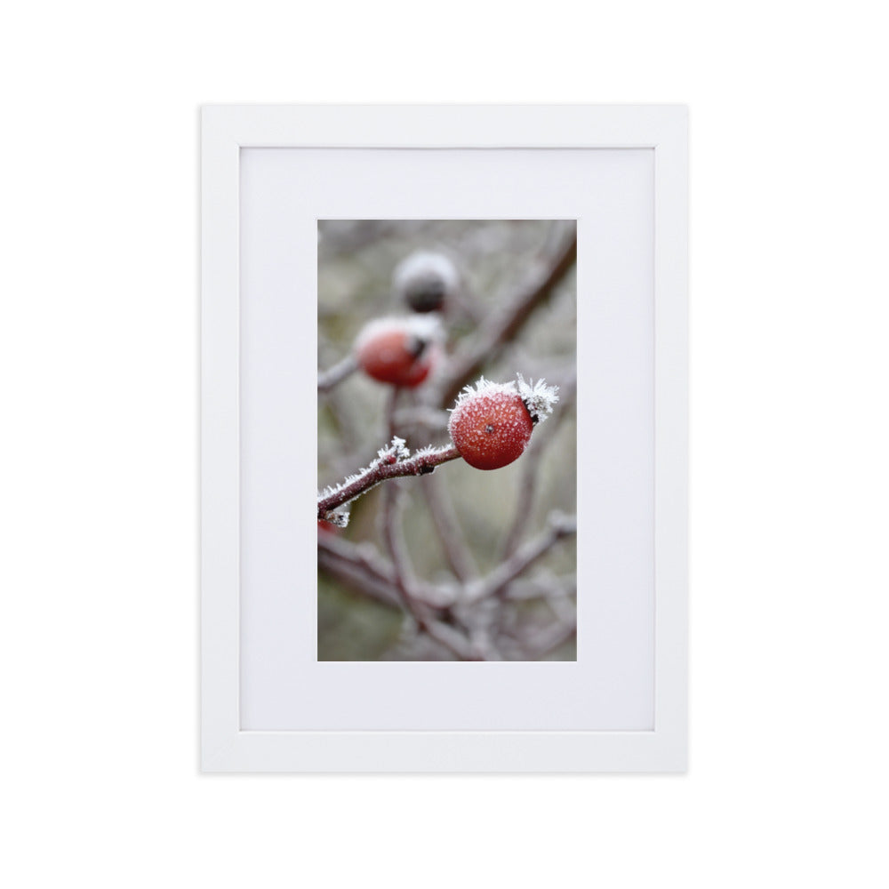 Poster mit Passepartout - Winterbeeren II Weiß / 21×30 cm artlia