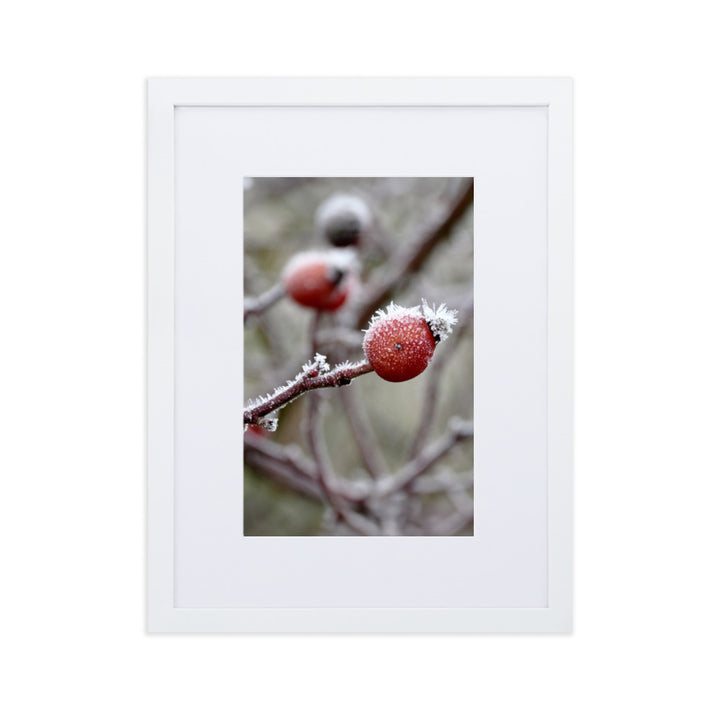 Poster mit Passepartout - Winterbeeren II Weiß / 30×40 cm artlia