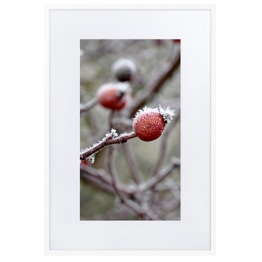 Poster mit Passepartout - Winterbeeren II Weiß / 61×91 cm artlia